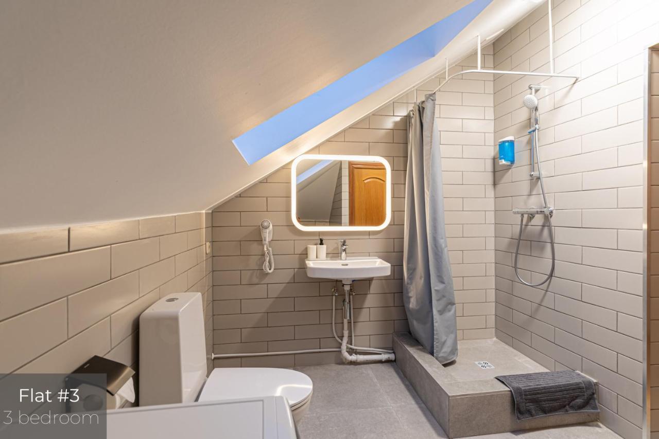 ריגה Dandelion Apartments Xixc Cottage מראה חיצוני תמונה
